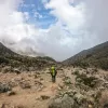 День 8 | Восхождение на Килиманджаро (5895 м). Маршрут Мачаме