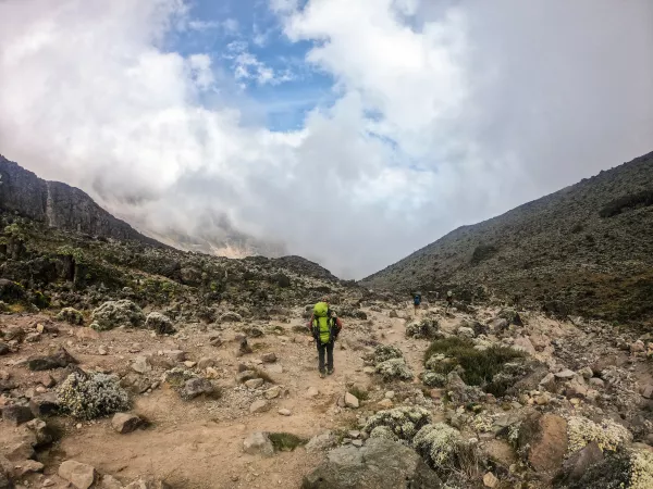 День 8 | Восхождение на Килиманджаро (5895 м). Маршрут Мачаме