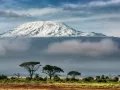 Восхождение на Килиманджаро (5895 м). Маршрут Мачаме